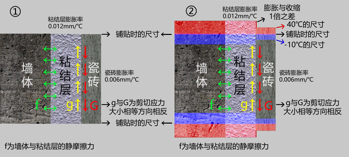 用纯珍水性瓷砖胶为什么不掉砖？先搞明白了再用！(图3)