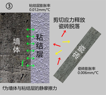 用纯珍水性瓷砖胶为什么不掉砖？先搞明白了再用！(图4)