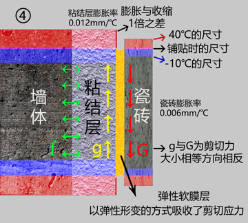 用纯珍水性瓷砖胶为什么不掉砖？先搞明白了再用！(图5)